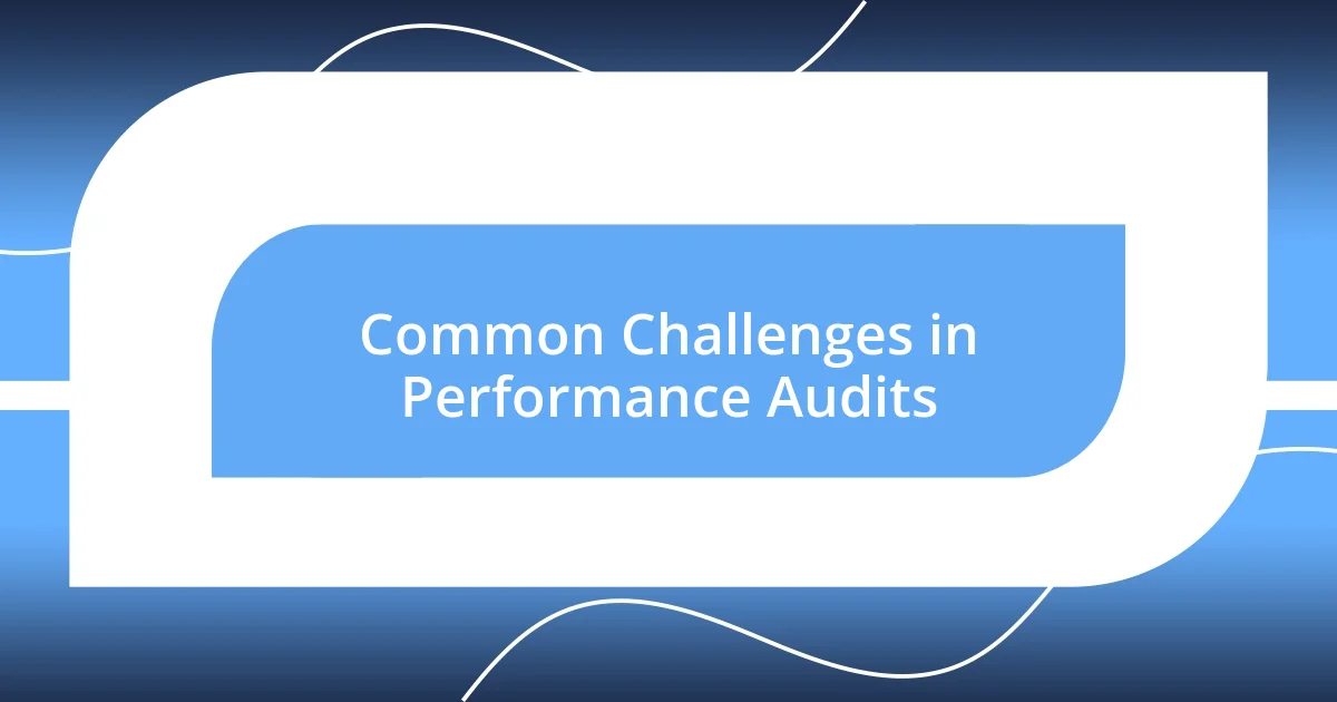 Common Challenges in Performance Audits